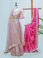 Baby Pink Organza Lehenga Set