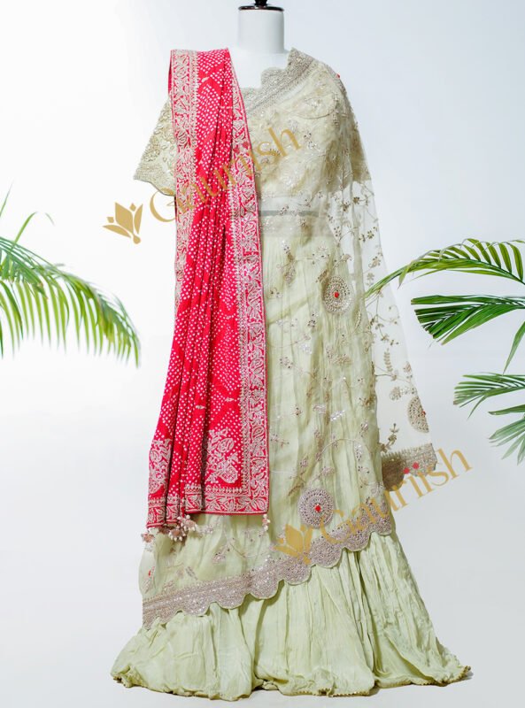 Olive Green Lehenga with Dupatta Adorned in Gota