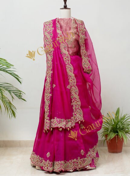 Organza Saree & Heavy Blouse