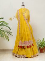 Lehenga Cum Petticoat with Matching Saree Set